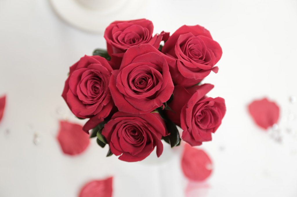 バラの色ごとの花言葉と贈るときの注意点